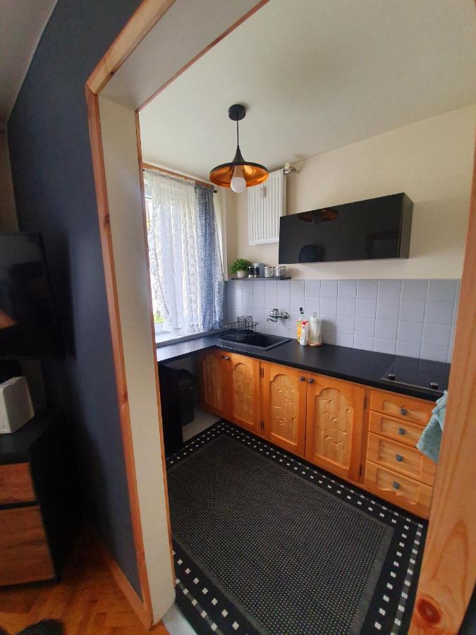 Apartament Izba W Centrum Zakopane Ngoại thất bức ảnh